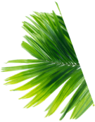 Green Leaf
